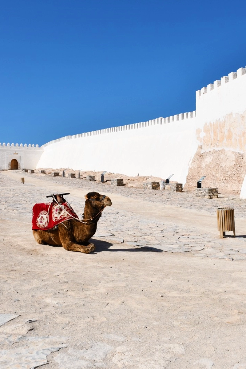 Good Days Tours-1-Day Trip to Agadir From Marrakesh-03