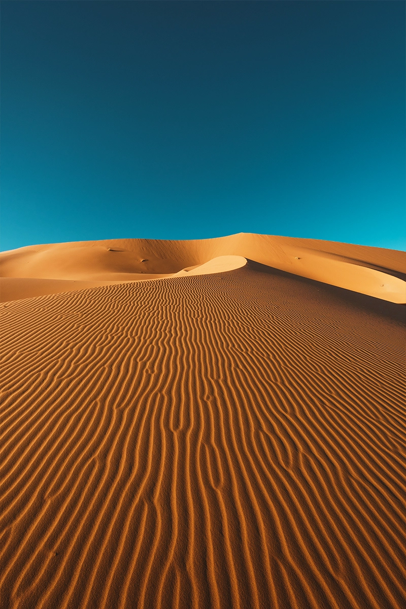 Good Days Tours-3 Days Desert Tour From Marrakech To Merzouga Dunes & Camel Trek-03