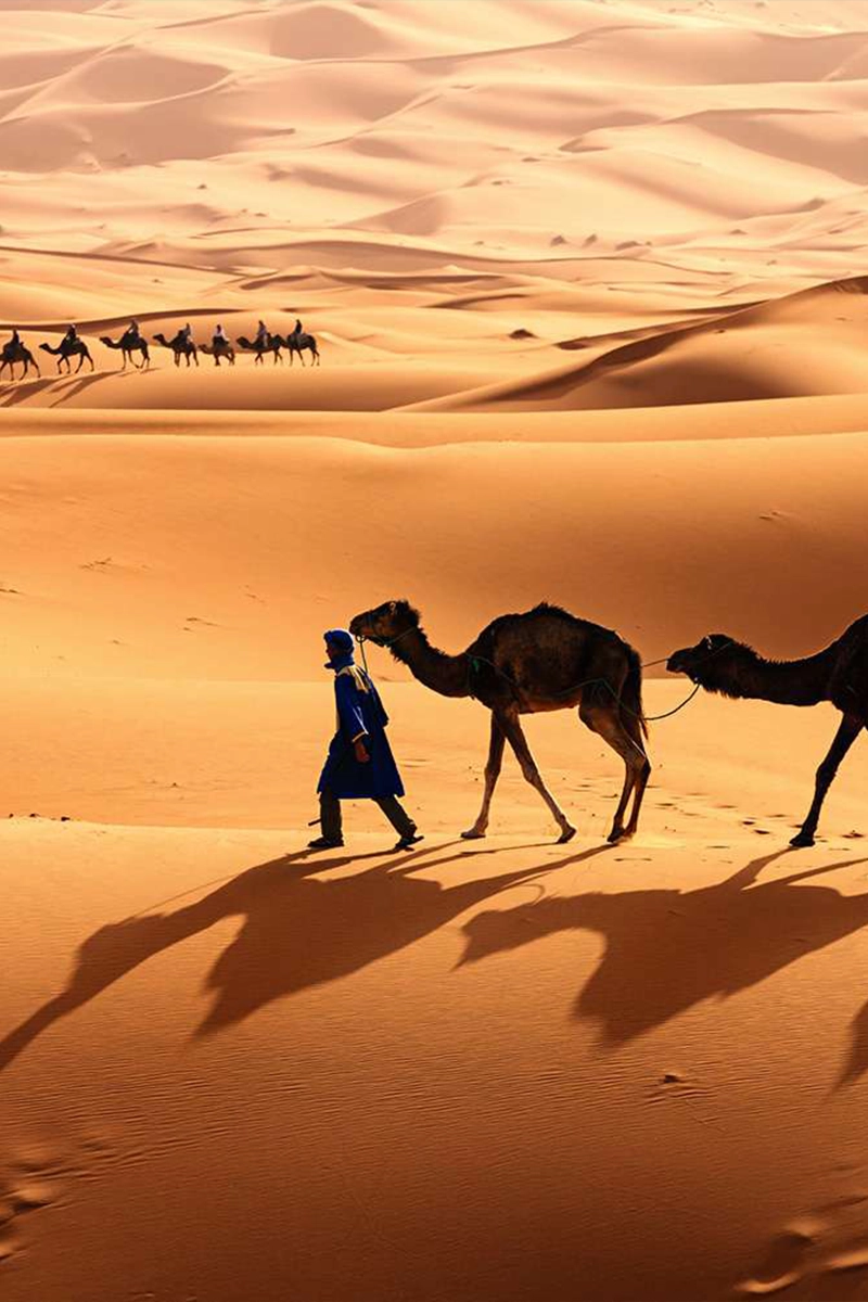 Good Days Tours-5 days Desert Tour of Marrakech Fez-07