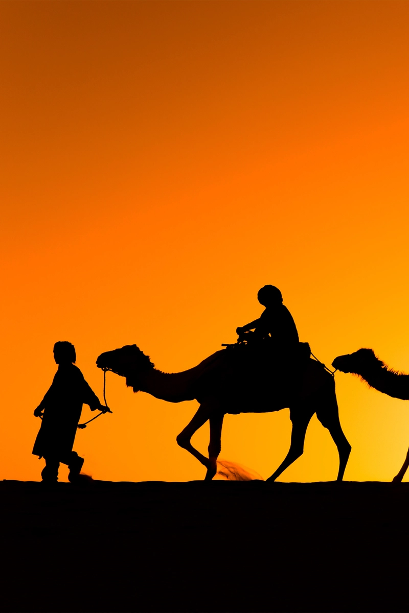 Good Days Tours-Camel Ride in The Agafay Desert-03
