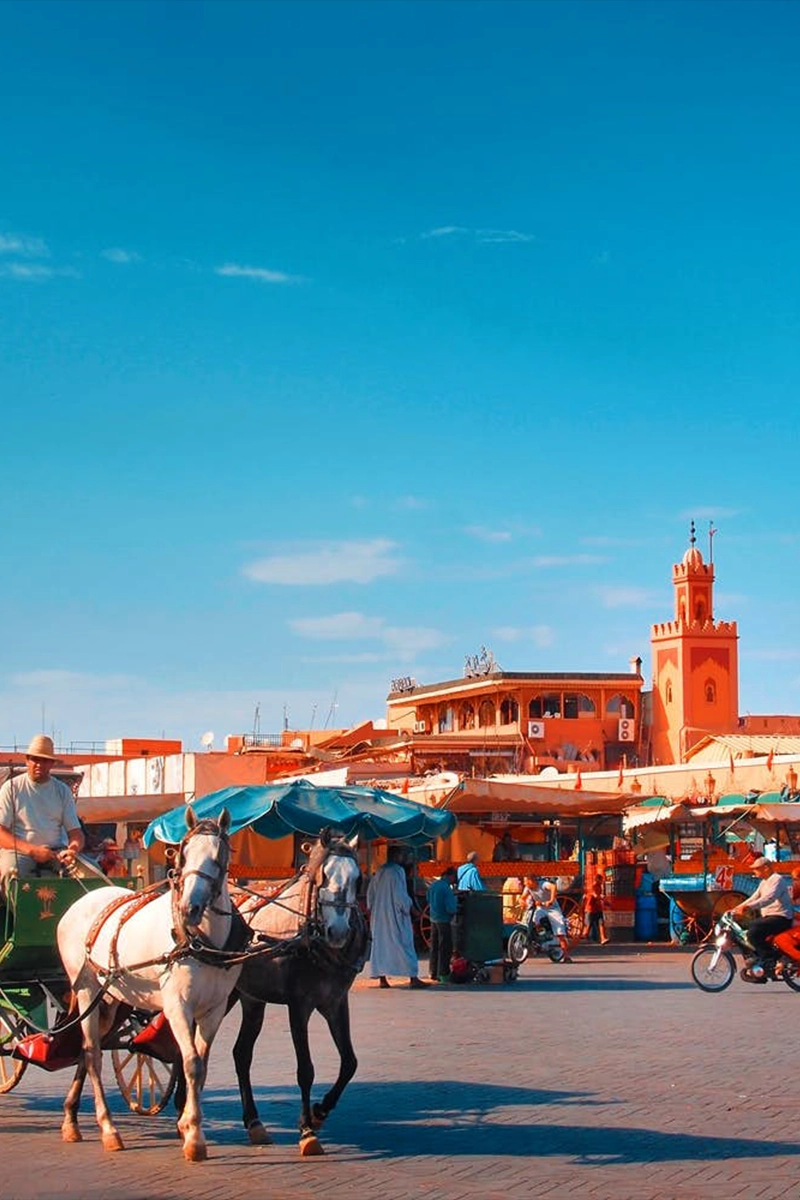 Good Days Tours-Half-Day Biking Tour Marrakesh-02